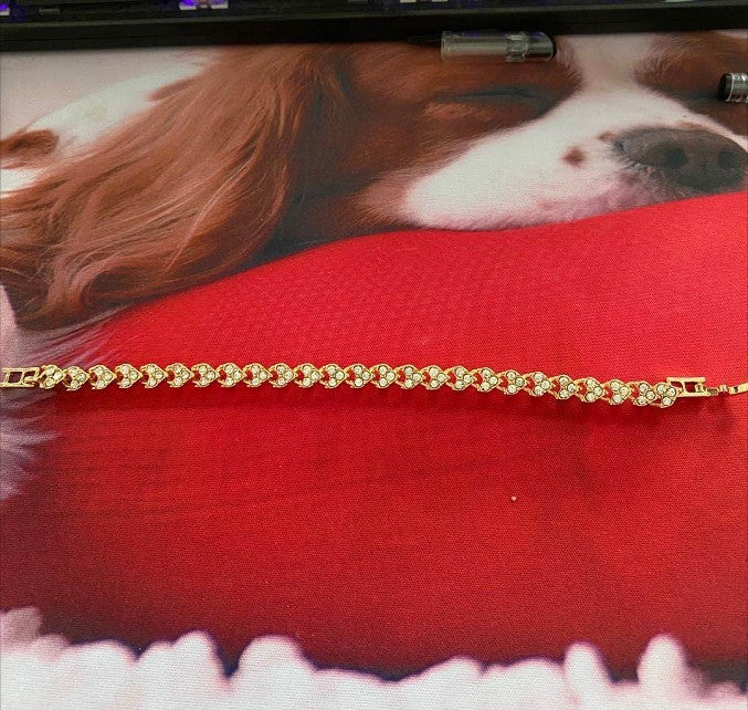 Delicaat ambachtelijke Armband