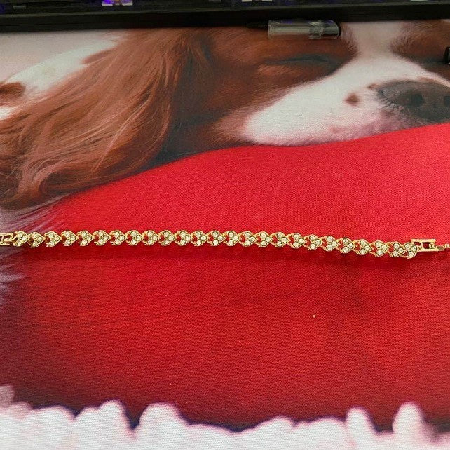 Delicaat ambachtelijke Armband